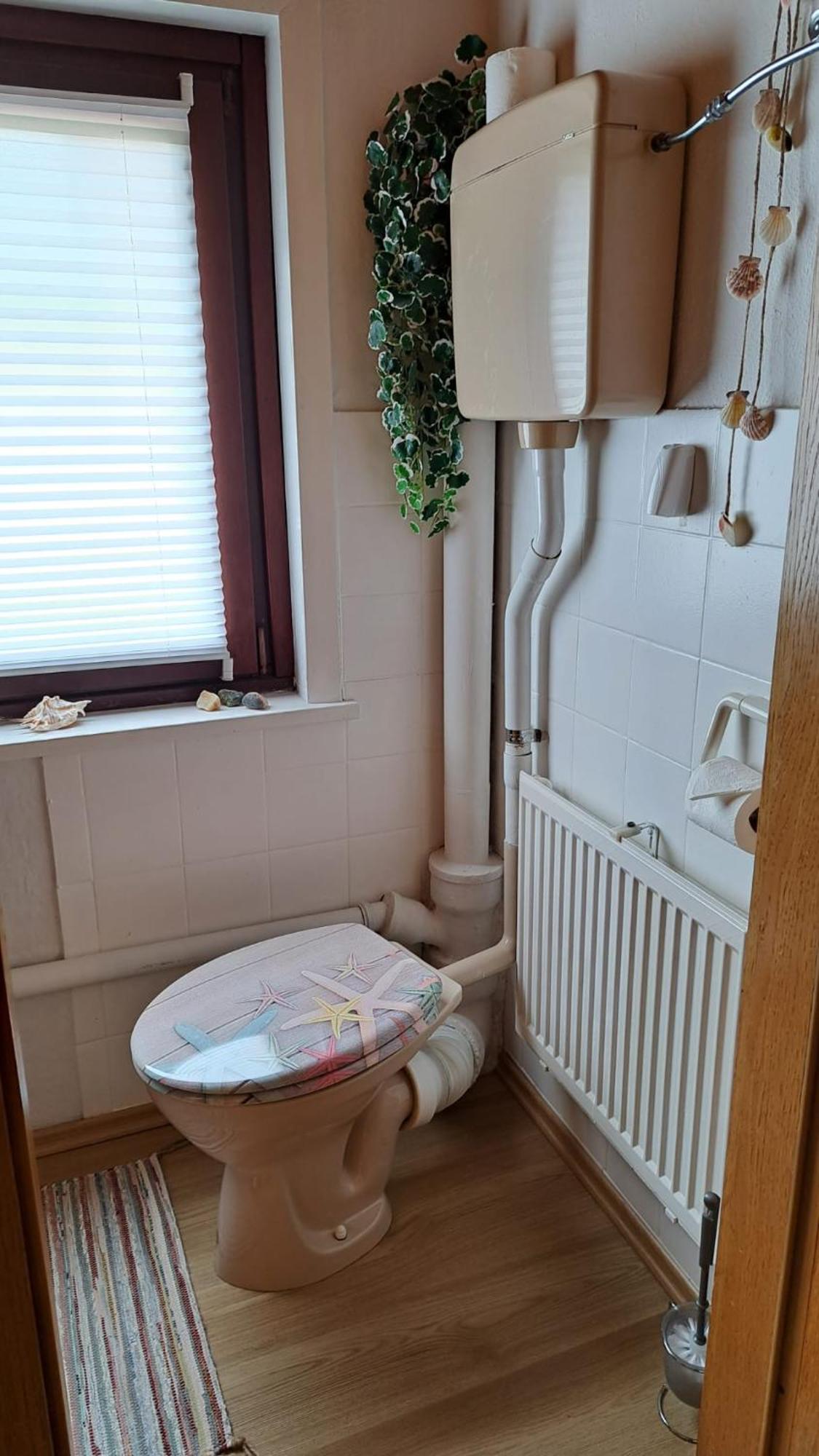 Ferienwohnung Friedrichsruh ブラウンラーゲ エクステリア 写真