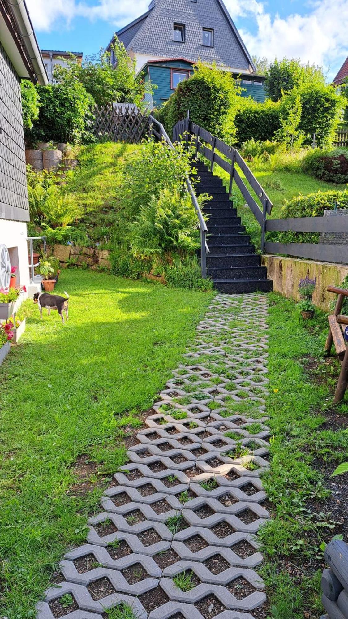 Ferienwohnung Friedrichsruh ブラウンラーゲ エクステリア 写真