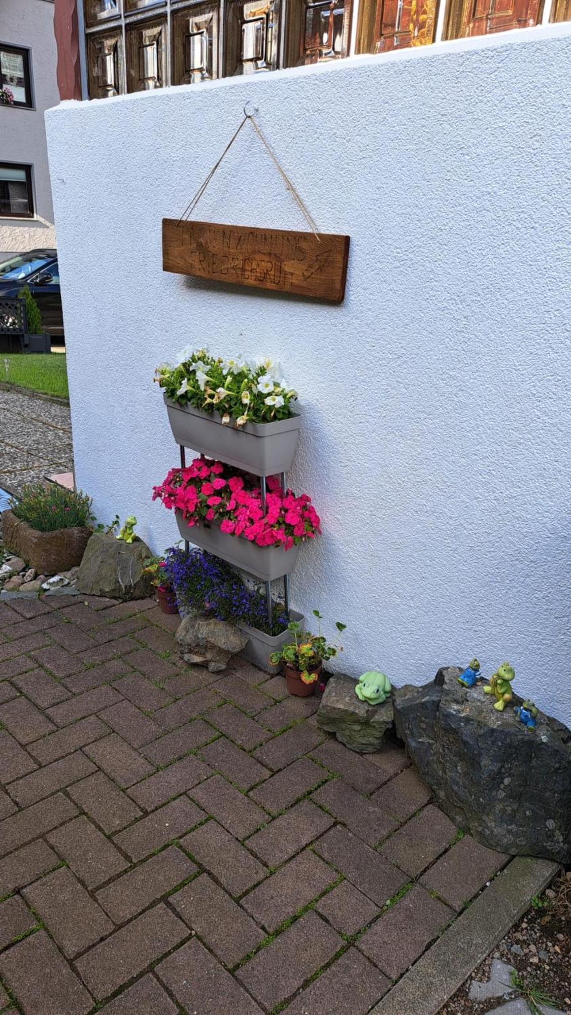 Ferienwohnung Friedrichsruh ブラウンラーゲ エクステリア 写真