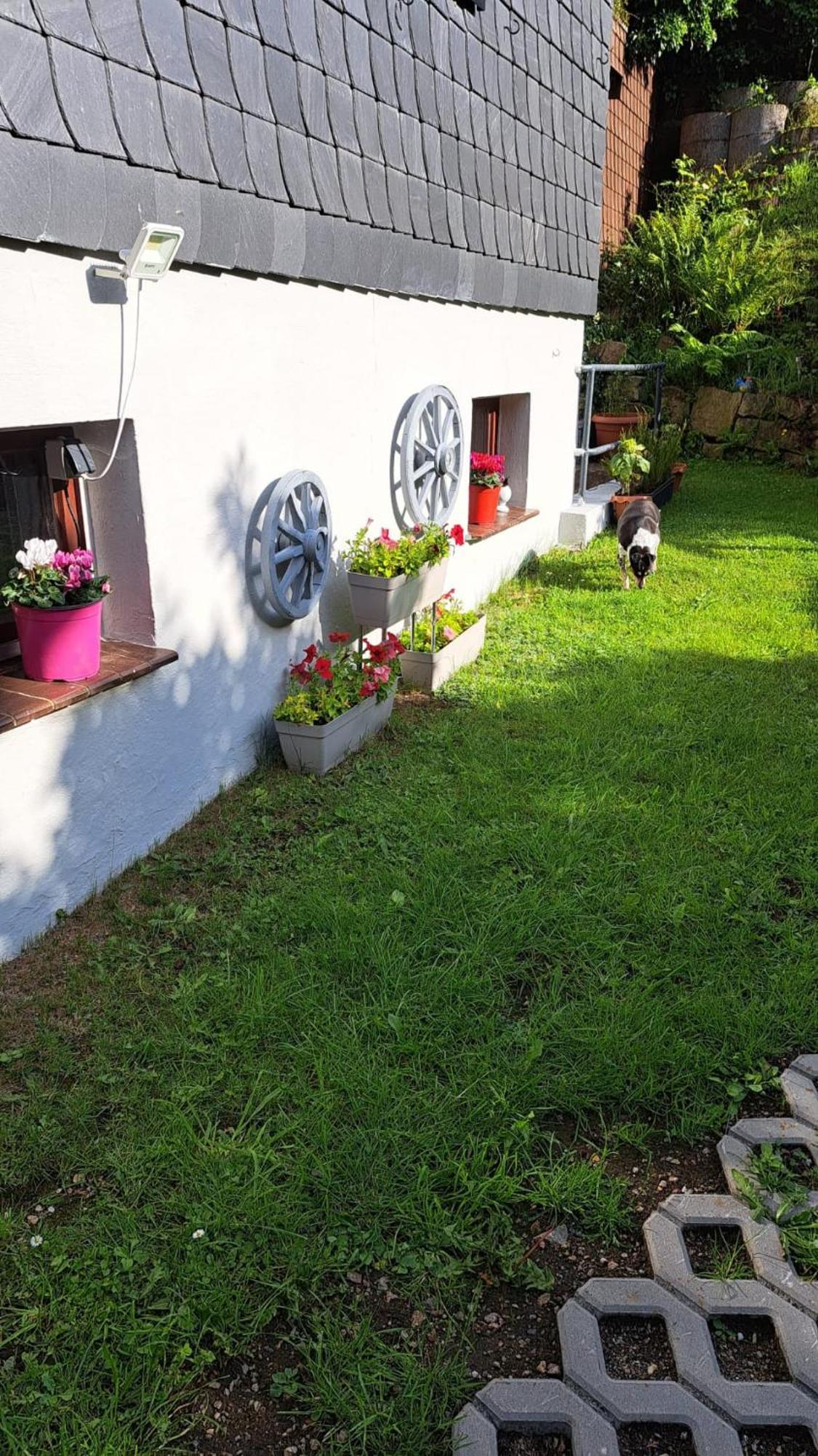 Ferienwohnung Friedrichsruh ブラウンラーゲ エクステリア 写真